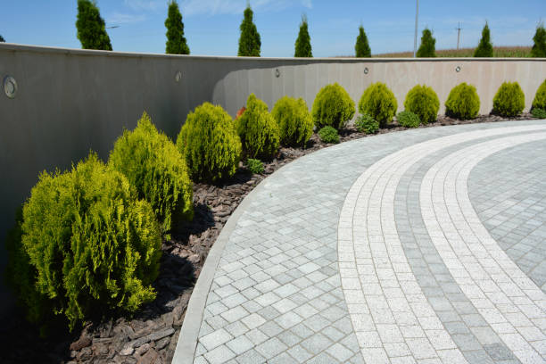 Best Professional Driveway Pavers  in Falmouth, VA